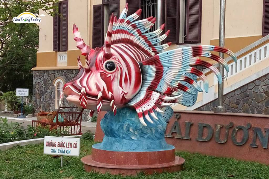 Loài cá này là biểu tượng của Viện Hải dương học Nha Trang.