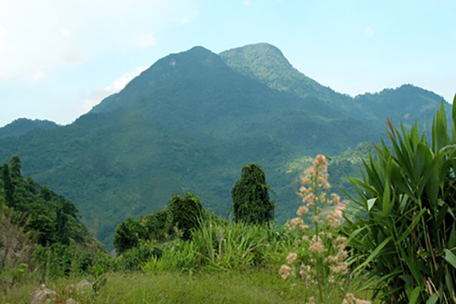 Thiên nhiên ở núi Cà Đam Quảng Ngãi.