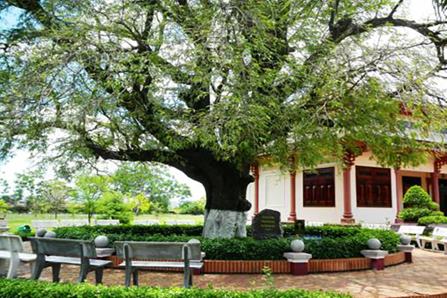 Khuôn viên Bảo tàng Vua Quang Trung Bình Định.